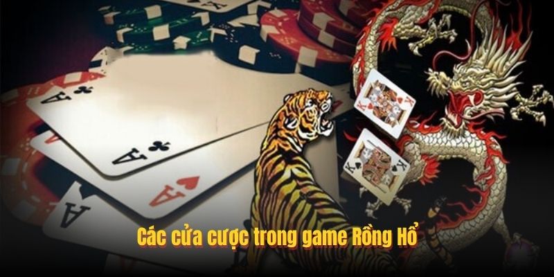 Chia sẽ mẹo chơi rồng hổ online tại Go88